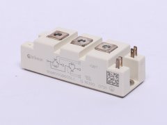 BSM100GB60DLC